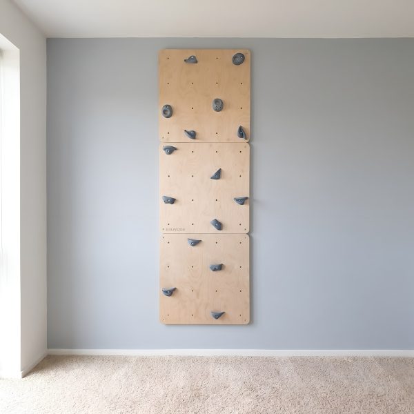 mur d’escalade pour la maison – Image 9