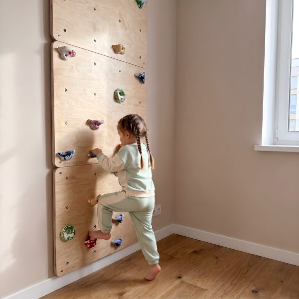 mur d’escalade pour la maison – Image 18