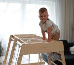 Aire de jeux intérieure Tigre – Image 10