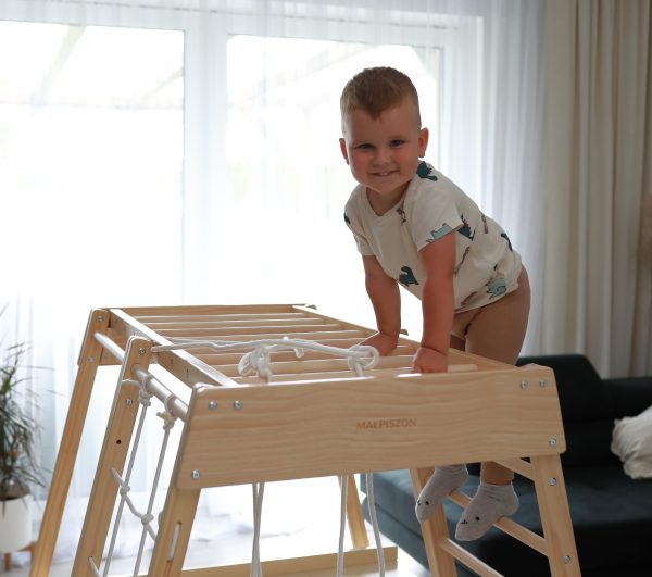 Aire de jeux intérieure Tigre – Image 10