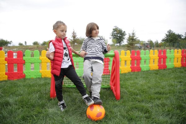 But de football du roi – Image 3