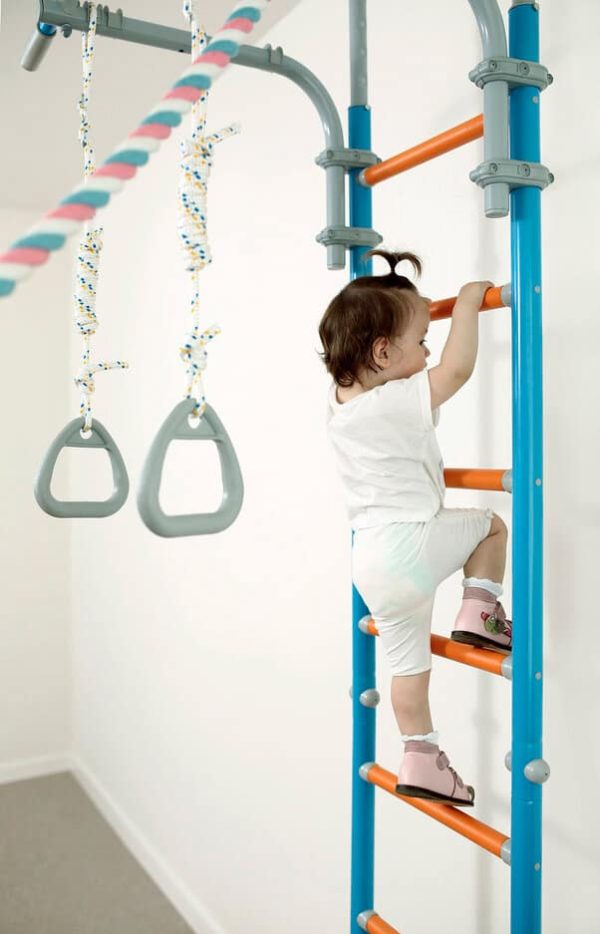 Échelle de gymnastique de la famille Wallbarz – Image 13
