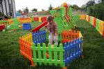 Parc pour enfants en plastique – Image 3